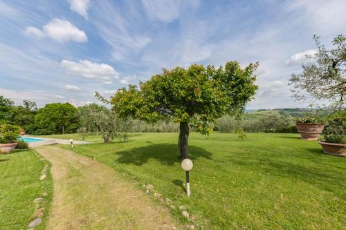 a tree in a field next to a dirt road at Podere Casanova in Montespertoli