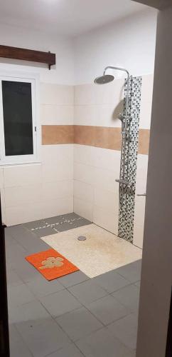 a bathroom with a shower with a orange rug at Chambre d'hôtes Valiha in Ivato
