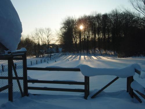 a bench covered in snow next to a fence at Grambo Bed & Breakfast in Tommerup
