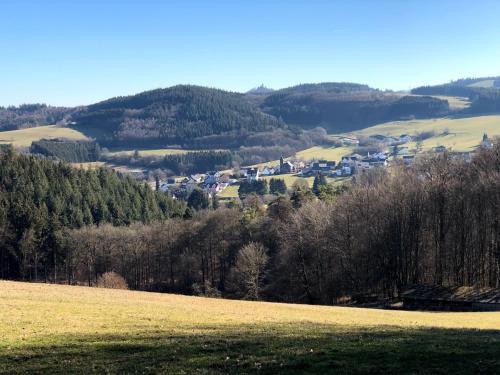 a field of grass with houses in the hills at Hotel garni Zum Adenauer Forst in Wimbach