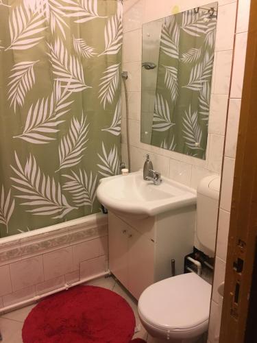 a bathroom with a toilet and a sink at Sara’s place in Constanţa