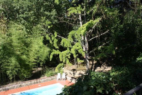 a swimming pool with two white chairs and trees at Villa La Nussa in Capolona