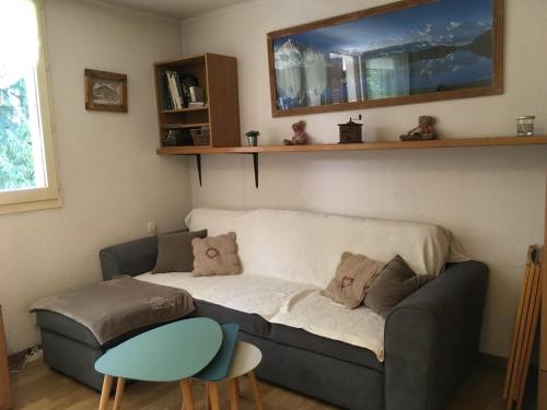 un salon avec un canapé et une table dans l'établissement Appartement chamonix face au mont blanc, à Chamonix-Mont-Blanc