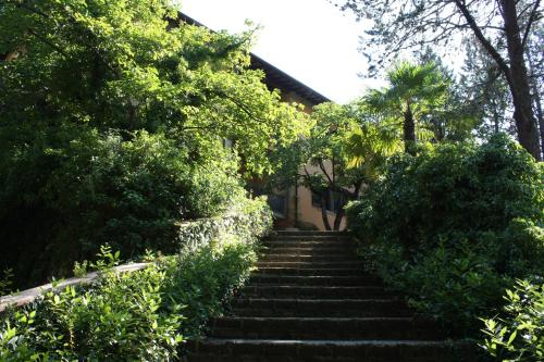 a stairway leading up to a house with trees at Villa La Nussa in Capolona