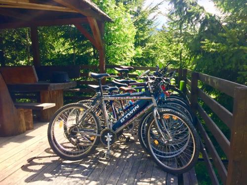 eine Gruppe Fahrräder, die neben einem Zaun geparkt sind in der Unterkunft Casa dintre Brazi in Colibiţa