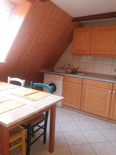 a kitchen with a table and a washing machine at Windmühlenhof in Dittmannsdorf