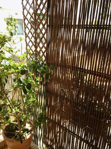 a wooden fence with some plants in a room at CHRYSSA - ΧΡΥΣΑ in Patra