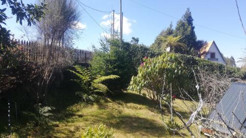 a garden with trees and plants on a hill at Chalet Pico das Pedras in Santana