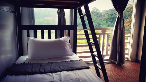 Bett in einem Zimmer mit einem großen Fenster in der Unterkunft Wild Lodge Taman Negara in Kuala Tahan