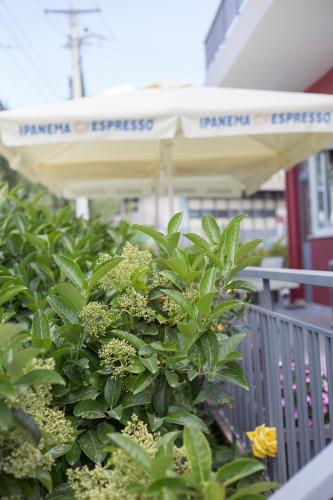 a bunch of green plants on a balcony at Snooze H in Athens