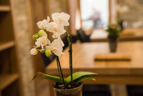 Imagen de la galería de Hotel Heimatlodge, en Sankt Niklaus