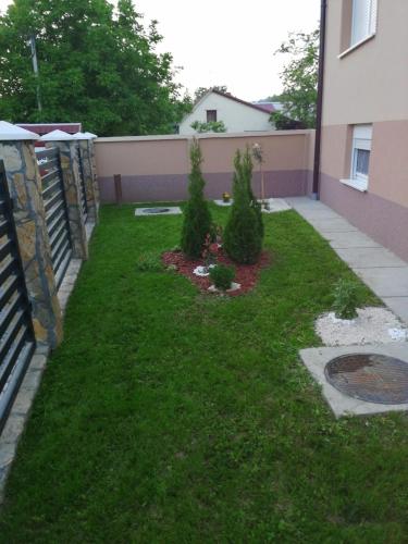 a yard with two bushes and a fence at Apartmani Bojana in Vrdnik