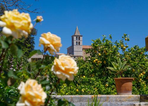 Imagen de la galería de Son Colom -Turismo de interior, en Campanet