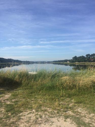 a body of water with tall grass next to a field at Studio entre lac et océan à Hossegor in Soorts-Hossegor