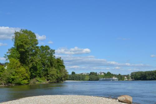 a river with a cruise ship in the distance at Privatzimmer und Ferienwohnungen Leeb in Persenbeug-Gottsdorf