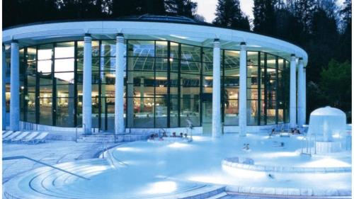 a large glass building with two hot pools at Modernes Studio in Baden-Baden