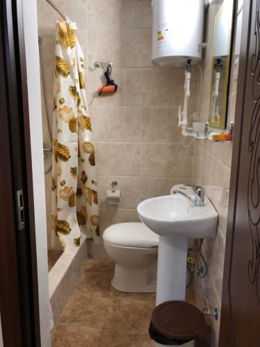 a small bathroom with a toilet and a sink at Saroy Guest house in Samarkand