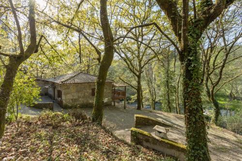 a bench in the middle of a park with trees at Quinta do Rio Homem in Caldelas