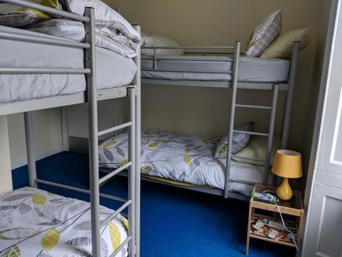 a bedroom with bunk beds and a blue carpet at Barholm Accommodation in Creetown