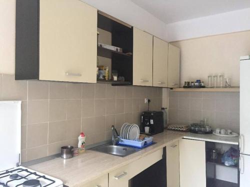 Køkken eller tekøkken på Casa Tudor Costinesti