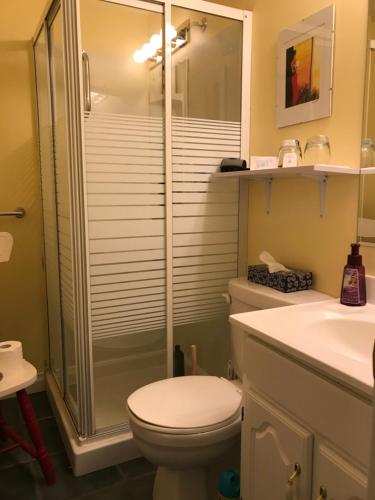 a bathroom with a toilet and a glass shower at Evening Shade in Fergus
