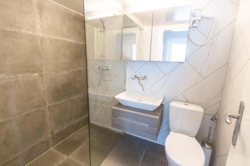 蒙特勒的住宿－Montreux & Leman View Apartment，一间带水槽、卫生间和镜子的浴室