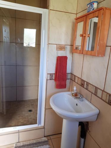 uma casa de banho com um lavatório e um chuveiro em CHEETAH MANOR #2 em Bloemfontein