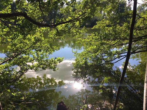 a view of a lake through the trees at Ferienwohnungen Heideidylle in Amelinghausen