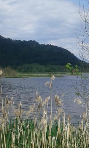 a body of water with a mountain in the background at Ferienhaus Am-moore in Steindorf am Ossiacher See