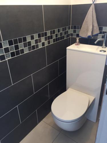 a bathroom with a white toilet and a sink at Les Palmiers in Pornic