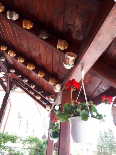a plant in a pot hanging from a ceiling at Lörincz Vendégház in Corund