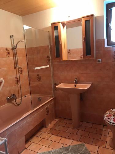 une salle de bain avec un lavabo et une douche dans l'établissement Gite chez Annette et Pierre Weber, à Niedernai