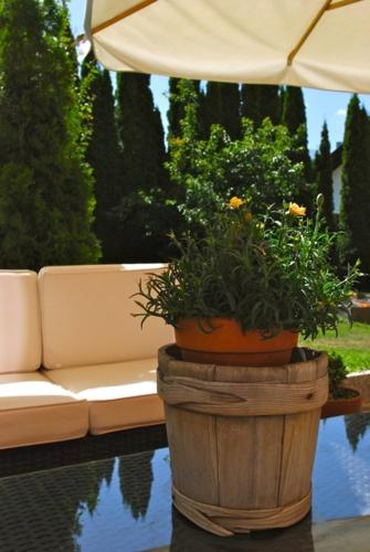 a couch and a plant in a pot on a table at Residence-Garni Haus Tschenett in Prato allo Stelvio