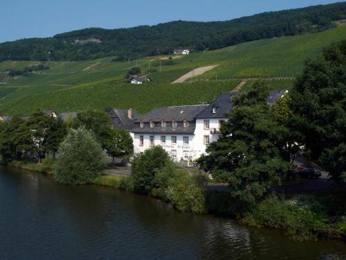 a large white building on the side of a river at Hotel Café Alt-Piesport in Piesport