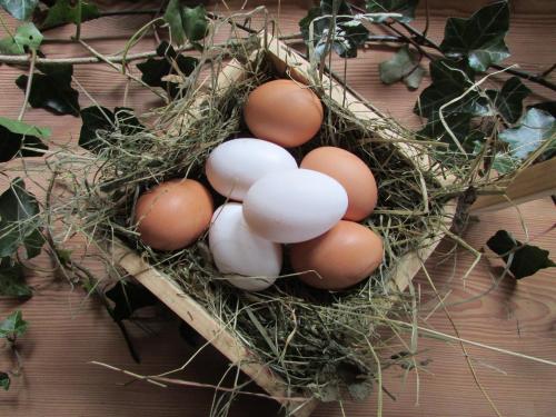 a bunch of eggs in a nest on a table at Grillinghof in Kirchberg in Tirol