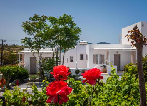 a view of a house with red flowers in the foreground at Milos Dream Life in Triovasálos