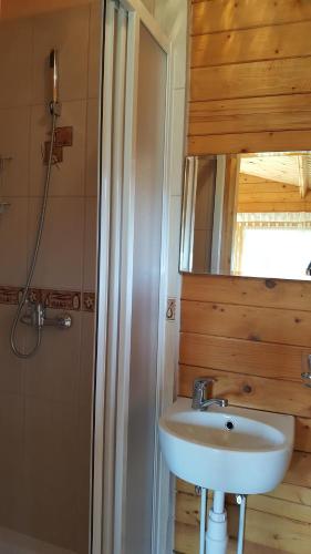 a bathroom with a sink and a mirror and a shower at Žuvėdrų g. 27 in Šventoji