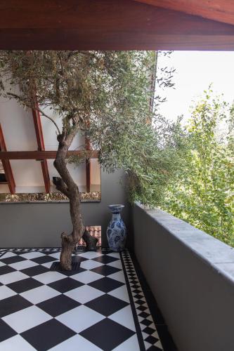 a tree on a black and white checkered floor with a vase at Bella Blue Guesthouse in Bloemfontein