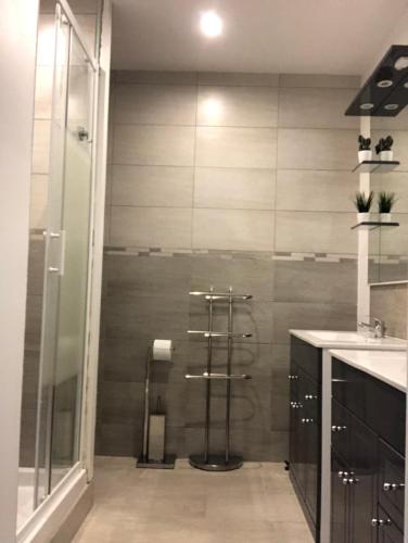 uma casa de banho com um chuveiro e um lavatório. em APPT 1.5KM PLAGES DU DÉBARQUEMENT em Tracy-sur-Mer