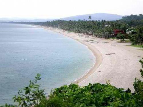 a view of a beach with trees and the ocean at Villa catalina Bora 2 Resort in Nabas