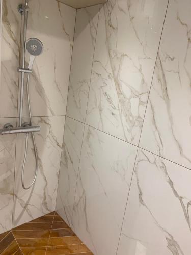 a shower in a bathroom with a marble wall at L'appartement et les Suites de VJL... in Avize