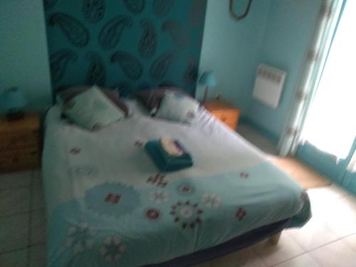 elevage du plec – Photos 4