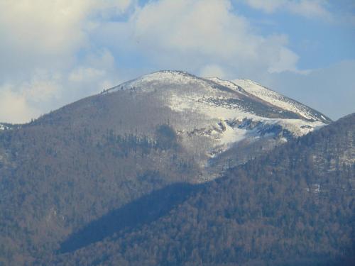 a snow covered mountain with trees on it at Apartment Mehi in Pazarić