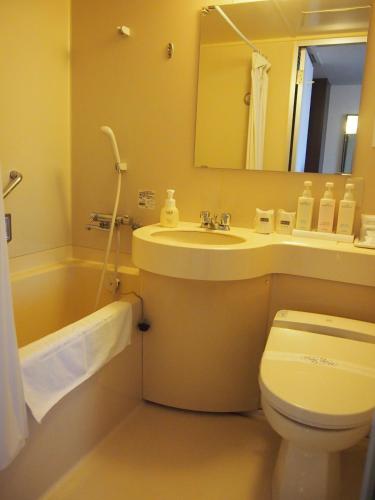 a bathroom with a sink and a toilet and a mirror at Silk Inn Kagoshima in Kagoshima