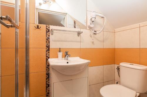 a small bathroom with a sink and a toilet at Willa Kłodzko-Zacisze - sauna, siłownia, komnata solna, parking in Kłodzko