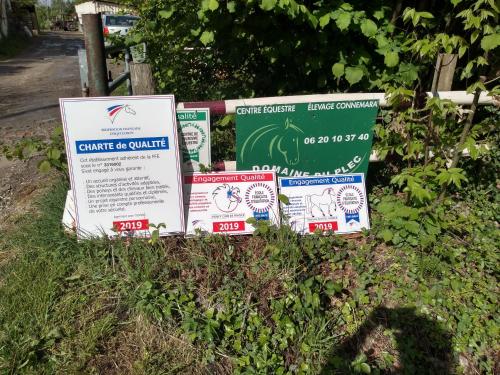 elevage du plec – Photos 2