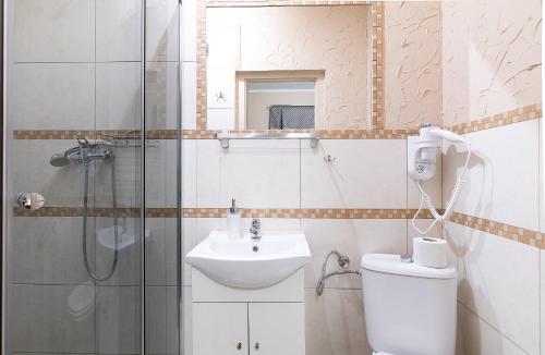a bathroom with a toilet and a sink and a shower at Willa Kłodzko-Zacisze - sauna, siłownia, komnata solna, parking in Kłodzko