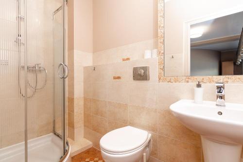 a bathroom with a toilet and a sink and a shower at Willa Kłodzko-Zacisze - sauna, siłownia, komnata solna, parking in Kłodzko