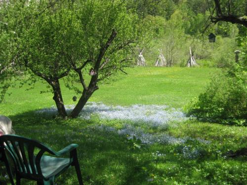 a bench sitting in a field of blue flowers at Mountain Valley Retreat in Killington