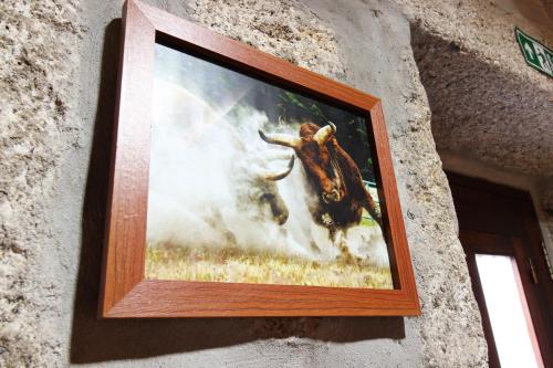 a picture of a bull hanging on a wall at Casa Viade in Montalegre